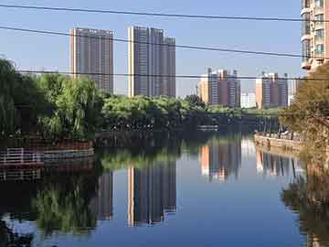 竹室內盆景，綠意盎然的藝術，打造家居清新空間